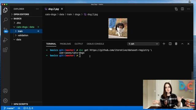 Sharing Data and Models with DVC (Hands-On Data Science Tutorial!) смотреть онлайн
