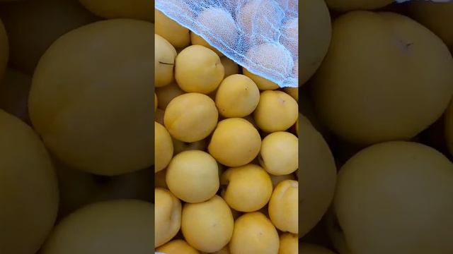 17 июля 2021 г.Фуд - Сити😍Цены на Черешня , Абрикос и Ягоди 🍒🍒🥭🍑🍉🍓🍇🫐🫐🫒🍒🍒 смотреть онлайн