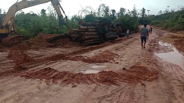 truck accident logging смотреть онлайн