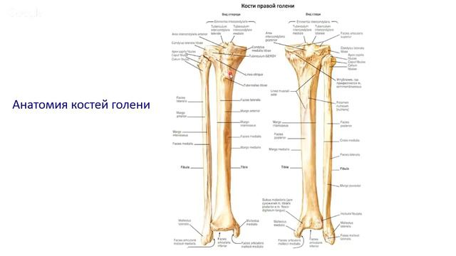 теория 2 смотреть онлайн