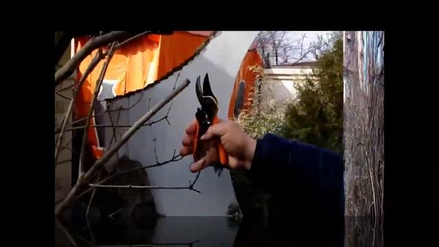 Секатор Арт. 7011 от ТМ Оазic смотреть онлайн