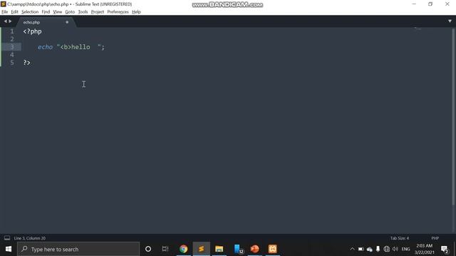 Echo and Print in PHP смотреть онлайн