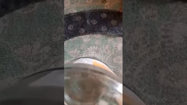 Как сшить мусульманские платья смотреть онлайн