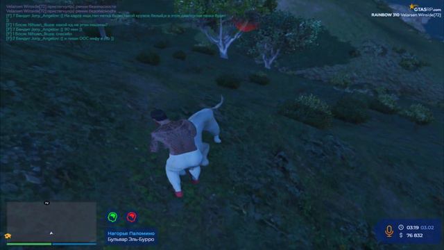 Пума обула в чешки gta 5 rp смотреть онлайн