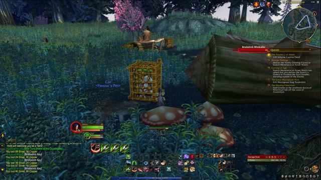 RTX4090 World of Warcraft Quest 70 Azure Watch Part 2 смотреть онлайн