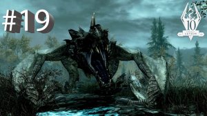 The Elder Scrolls V: Skyrim #19. Ясность