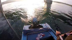 Хариус на р. Ангаре в черте города. Хорошая рыбалка))