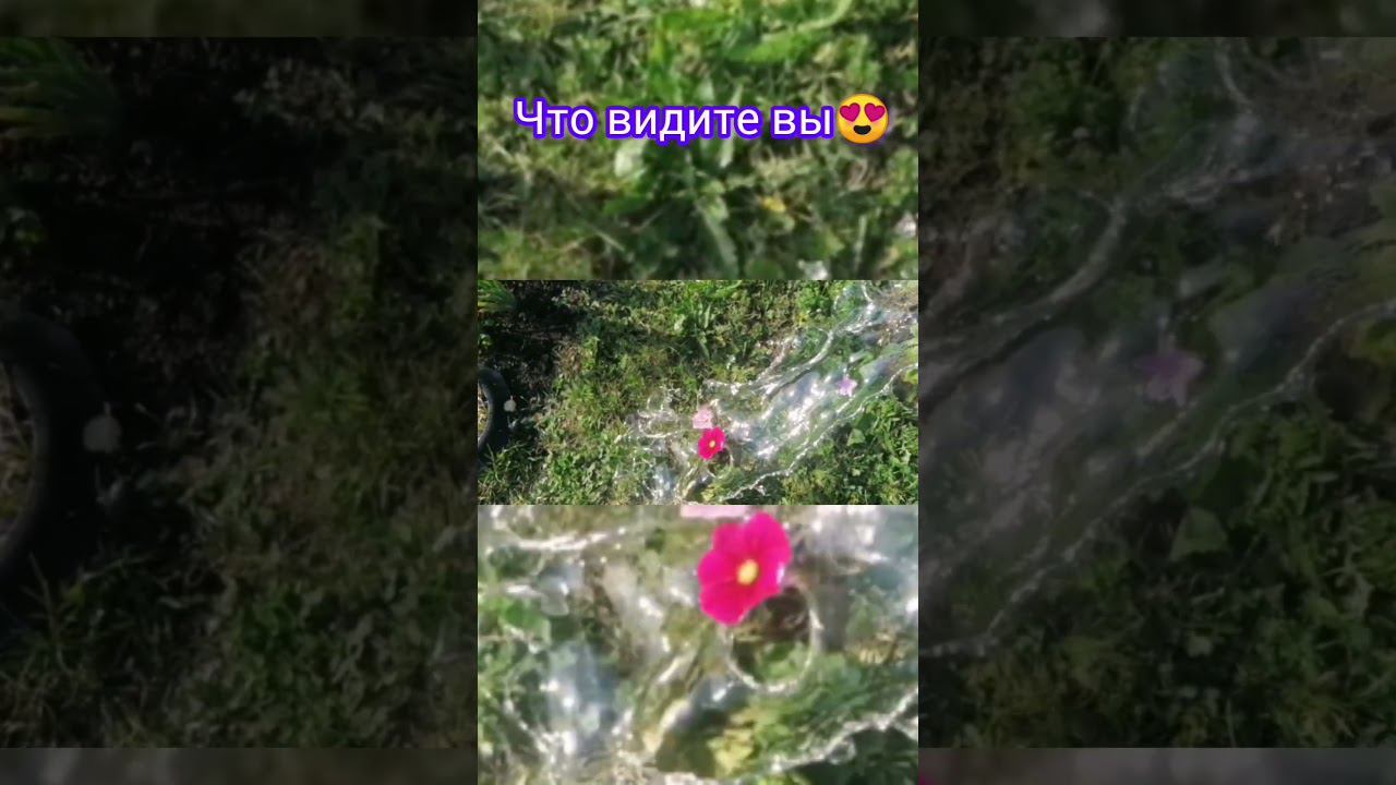 Мой Рутуб канал: Beautiful_Life ❤️ ссылка в описании✨ #dance #лайк #тысолнышко #лето #былоипрошло смотреть онлайн