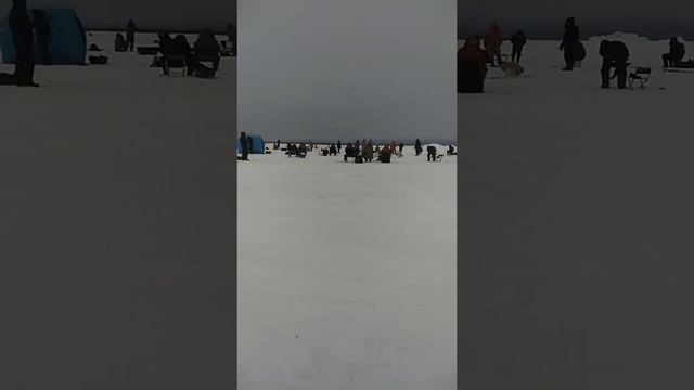 За корюшкой зубаткой смотреть онлайн