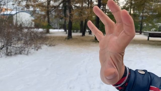 (23) Zhan Zhuang Yiquan  40 Day 40 Minutes / Столбовое стояние Ицюань. 40 дней по 40 минут