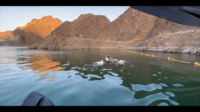 HATTA KAYAK @ Hatta Dam *aesthetic vlog* | Dubai Diaries vlog смотреть онлайн