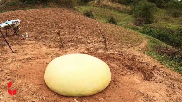 EXPLODING A WATERMELON WITH RUBBER BANDS! I Doodle Life смотреть онлайн