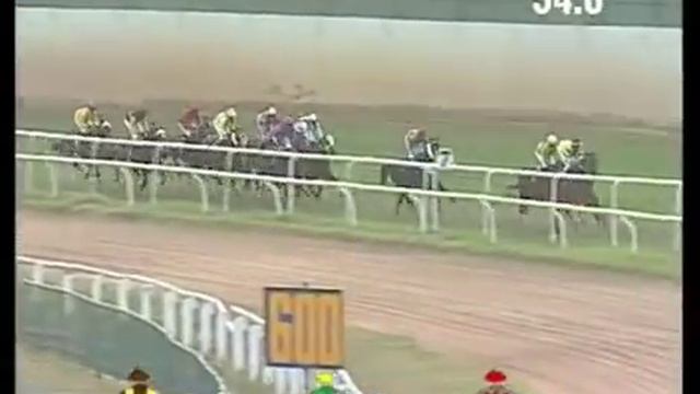 The Raichur Plate Div-1 WINNER: MARCO POLO смотреть онлайн