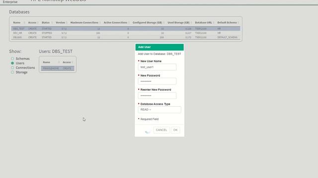 NonStop SQL/MX End-user database management features using WebDBS смотреть онлайн