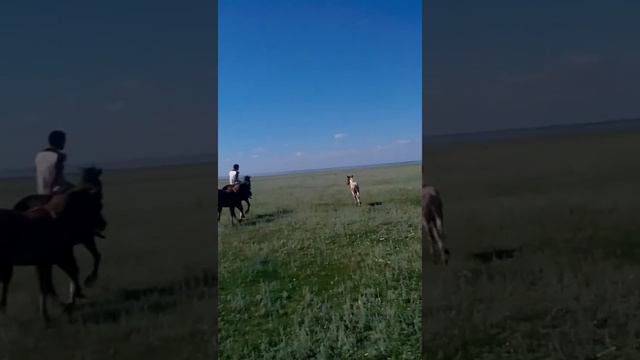 Омская область москаленский район смотреть онлайн