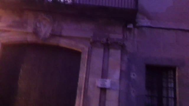 Португалец играет в готическом квартале Барселоны смотреть онлайн