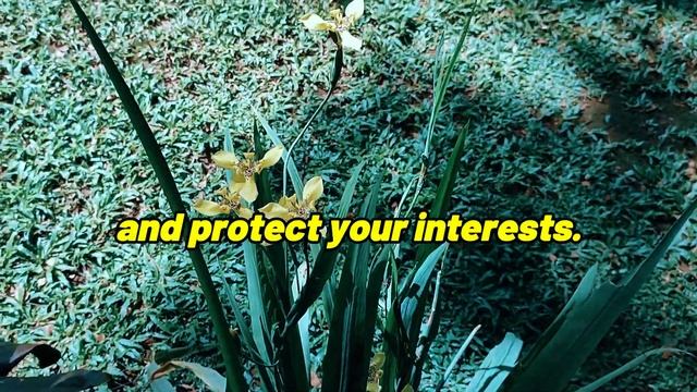 The Secret How to Shutdown a Narcissist Using STRICT Strategy |NPD |Narcissism |Gaslighting смотреть онлайн