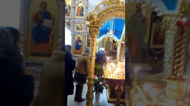 Приложились к мощам Священномученика Никодима смотреть онлайн