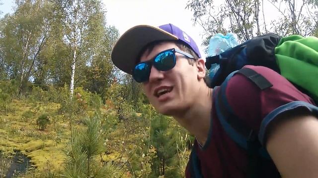 Как определить север/юг по мху смотреть онлайн