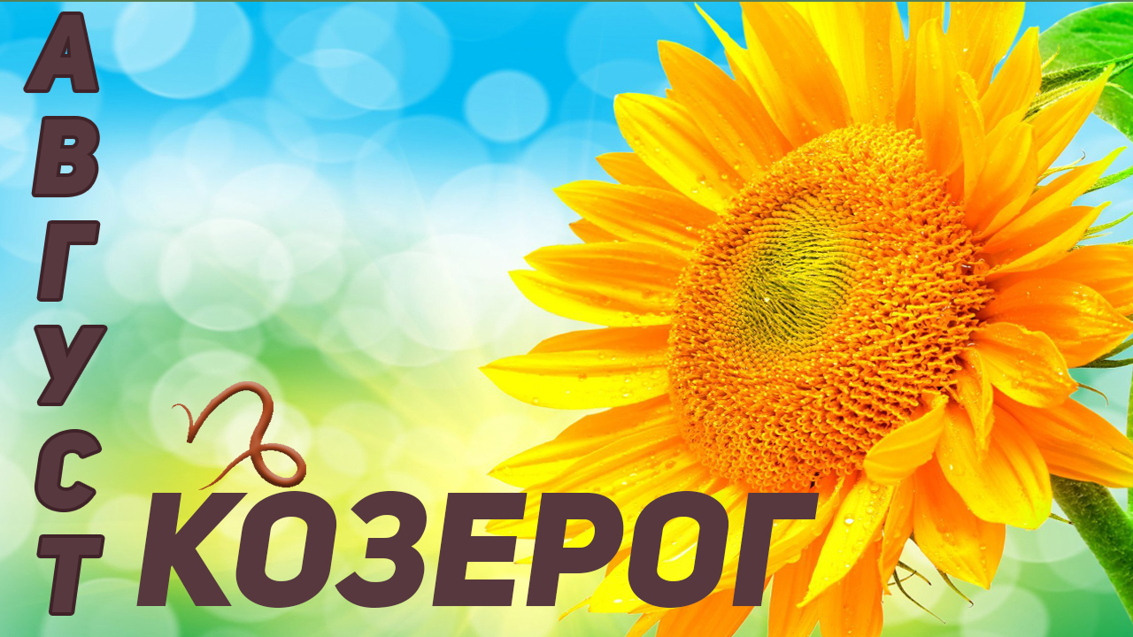 ? КОЗЕРОГ – ТАРО ПРОГНОЗ на АВГУСТ 2022 года ?