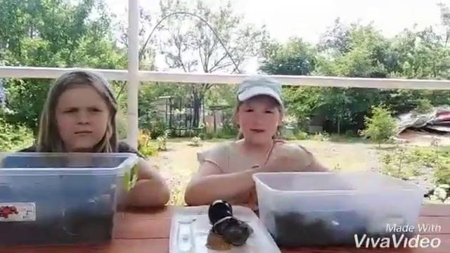 Моя УЛИТКА РОЖАЕТ!!