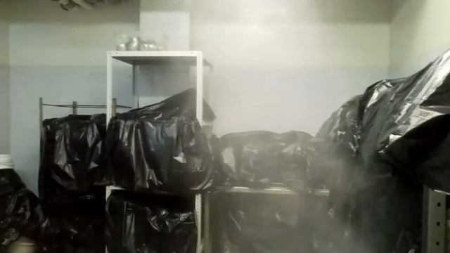 Обработка холодным туманом от тараканов в кафе Екатеринбург смотреть онлайн