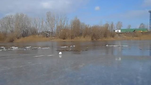 Лед идет смотреть онлайн
