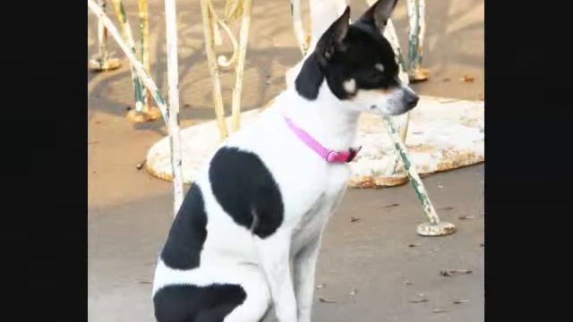 Nikon L110 My first video and photos смотреть онлайн