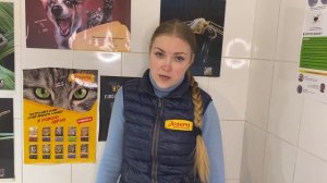 Воспаление Десен У Кошек (КОШАЧИЙ ГИНГИВИТ) - Симптомы, Лечение, Профилактика. Советы Ветеринара.