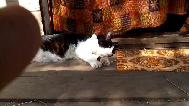 Отдых на даче смотреть онлайн