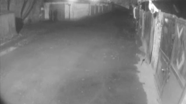 Медвежатники на работе.mpg смотреть онлайн