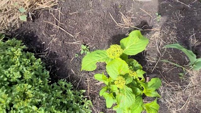 Отвечаю На Ваши Комментарии...@MARGARITA_GERASIMOWA смотреть онлайн