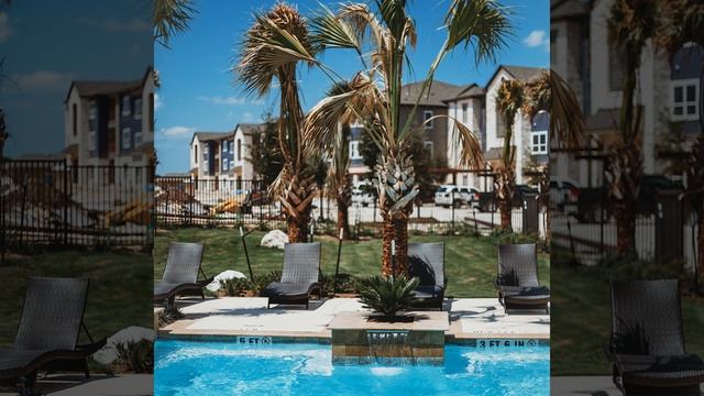 Игривый Книга, Сосредоточенность смотреть онлайн