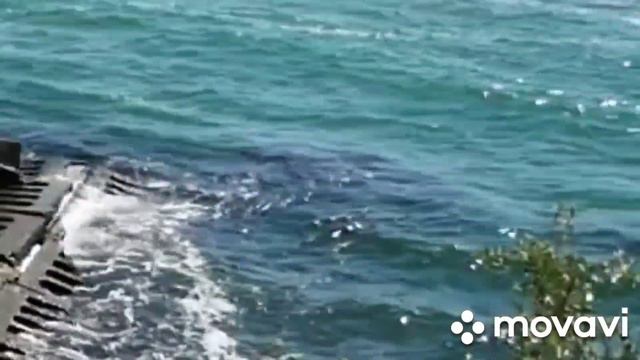 Одесса 25 мая .ТРИ НОВОСТИ которые должны знать все. смотреть онлайн