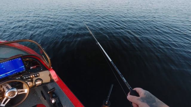 18+ РАСКРЫВАЮ СЕКРЕТЫ! Что такое Panoptix LiveScope ?Как ловить судака с Паноптикс Лайвскоп? смотреть онлайн