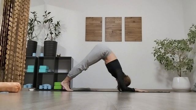 отжимания-дельфин от дряблых рук смотреть онлайн