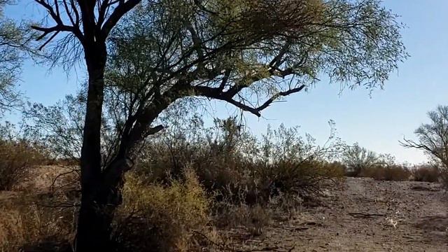 BLM Boondocking Ajo AZ- St. John the Baptist Mountains, Organ Pipe Cactus National Monument смотреть онлайн