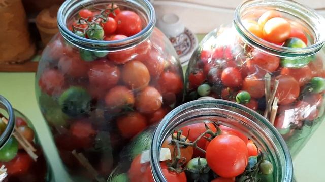 Приключения на Воде