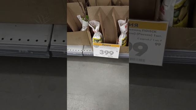 Посадочный материал в магазине Гипер Лента. смотреть онлайн