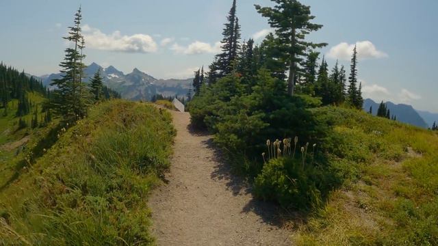 Incredible Wildflowers Of Mount Rainier - 4K Virtual Hike - Reflection Lakes Trail On A Sunny Day