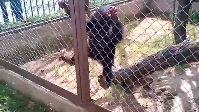 Экзотик парк смотреть онлайн