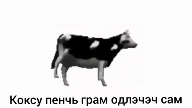 Польская корова - танцует под музыку №77 смотреть онлайн