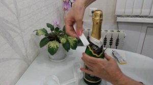 Бутылка своими руками.Жених,часть 1.