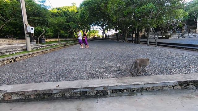 Пляж Паданг-Паданг. Храм Улувату. Бали. Padang Padang Beach. Uluwatu Temple. смотреть онлайн