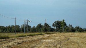 Поиск монет с металлоискателем Minelab E-Track