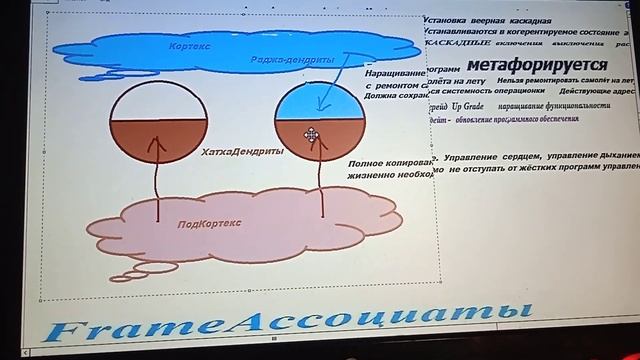 7 1+ ПАТТЕРН Инсталляция BIOS Раджа и и хатха составляющие нейрона смотреть онлайн