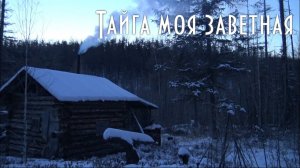 ТАЙГА МОЯ ЗАВЕТНАЯ | ВИДЕО О ТАЙГЕ | О ЖИЗНИ В ТАЙГЕ | ОБ ОХОТЕ | РЫБАЛКЕ | ДЕЛИМСЯ С ВАМИ ОПЫТОМ