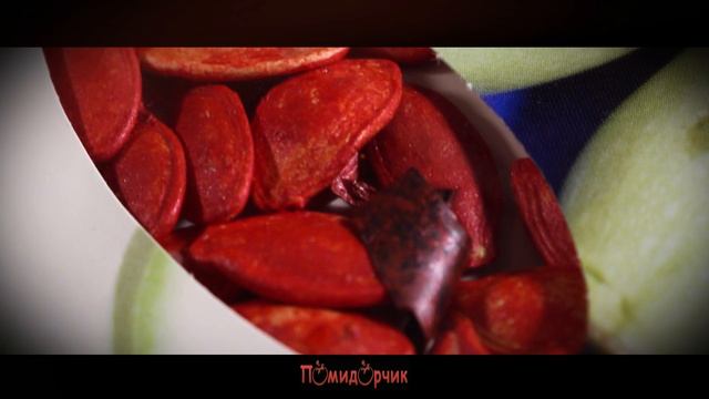 Семена Кабачок Кустовой Белоплодный GOLD - Помидорчик смотреть онлайн