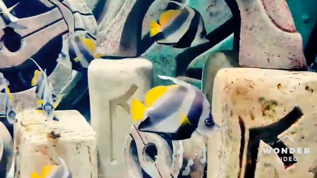 Atlantis ~ the lost chambers aquarium ~ смотреть онлайн