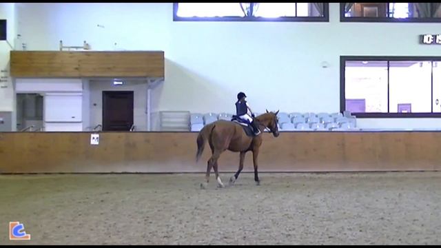 Конный спорт / Верховая езда / Equestrian / Horse Riding смотреть онлайн
